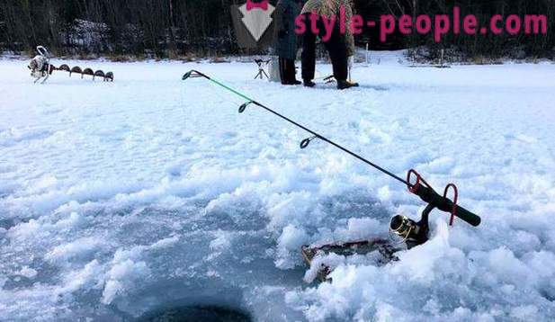 Jagt og fiskeri i Perm-regionen: især fiskeri, typer af jagt og fiskeri
