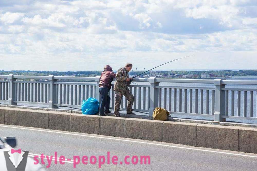 Fiskeri i Saratov på Volga: fotos og anmeldelser