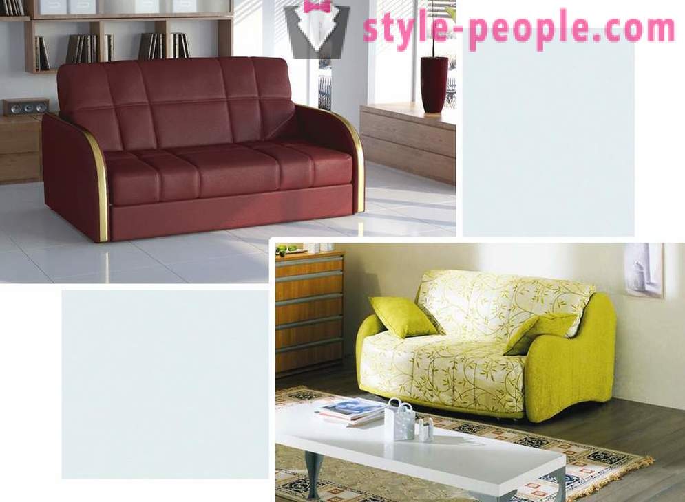 Hvordan man vælger en sofa til dit interiør