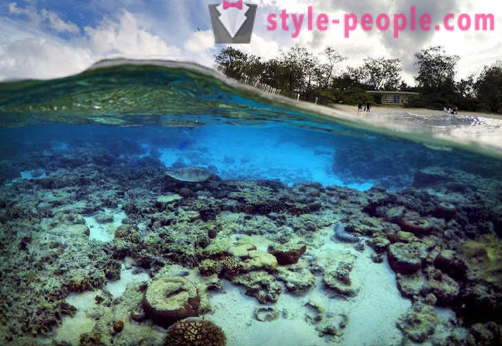 Great Barrier Reef billeder
