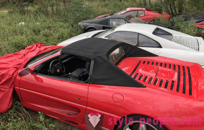 I USA, fandt vi en mark med forladte biler Ferrari