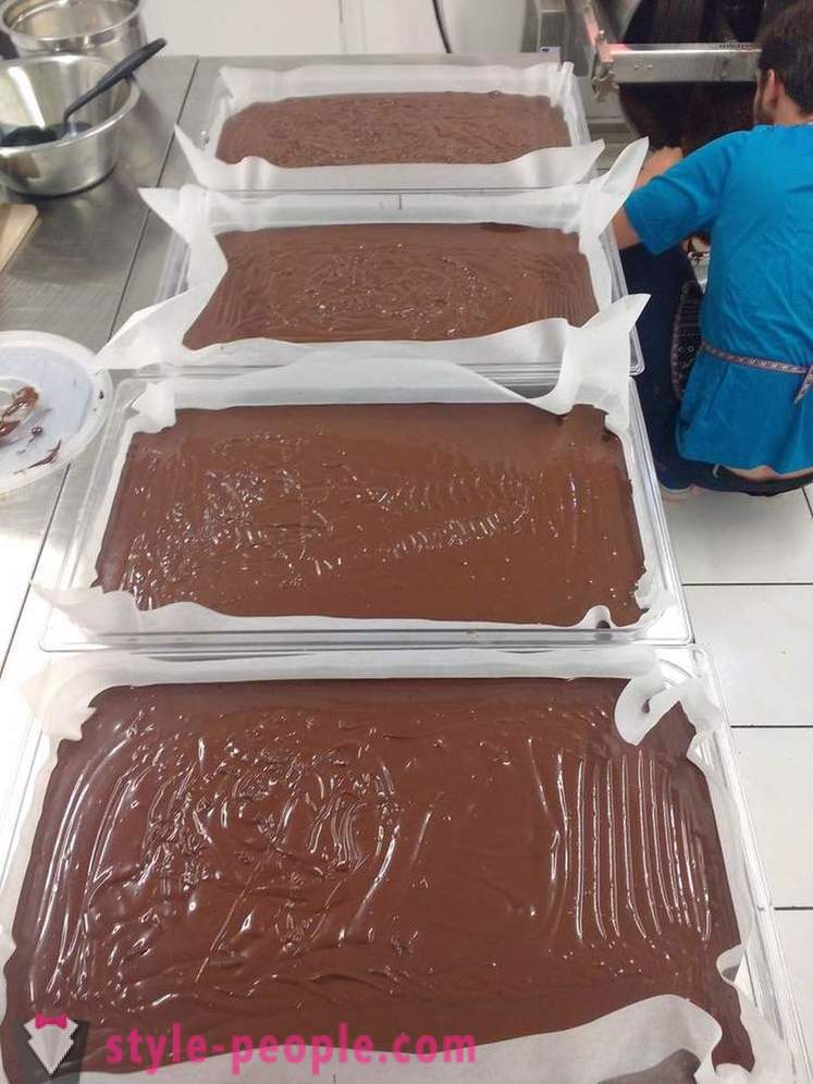 Færd med at vokse og producere chokolade