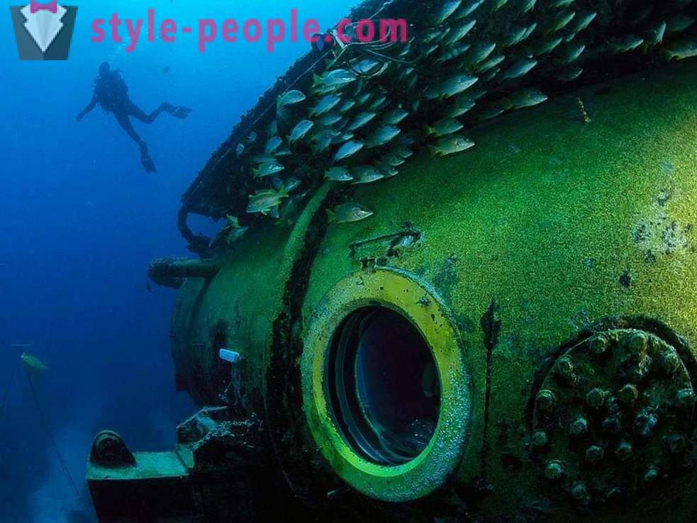 Fantastiske indbyggere i den undersøiske verden i billeder