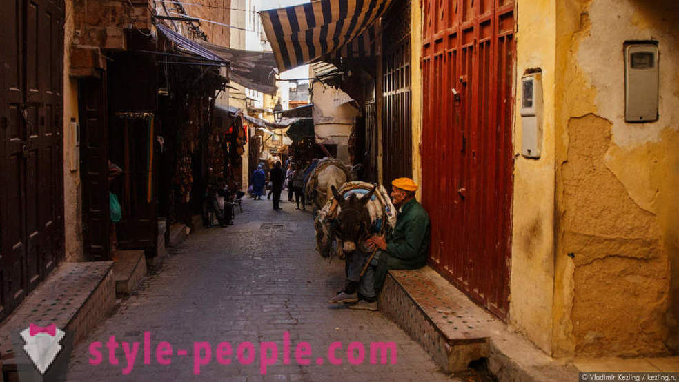 Marokkanske eventyr: en stinkende Fes