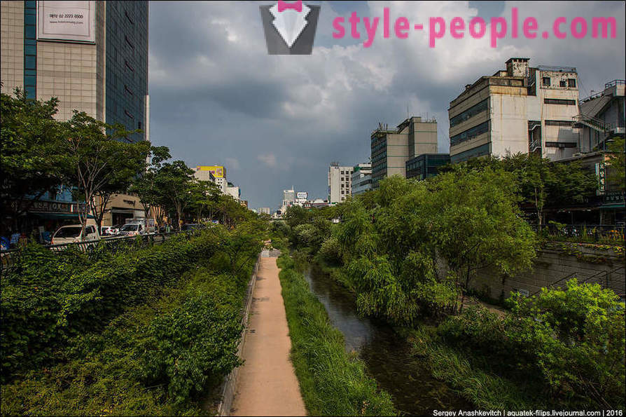 Sådan oplive konkrete junglen i Seoul