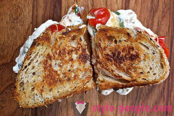 20 ideer fra hele verden, hvordan man laver en sandwich med ost