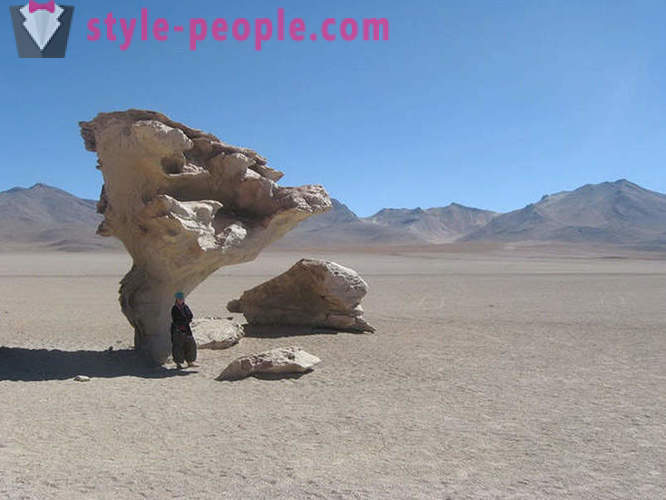 Rejs gennem verdens største salt ørken