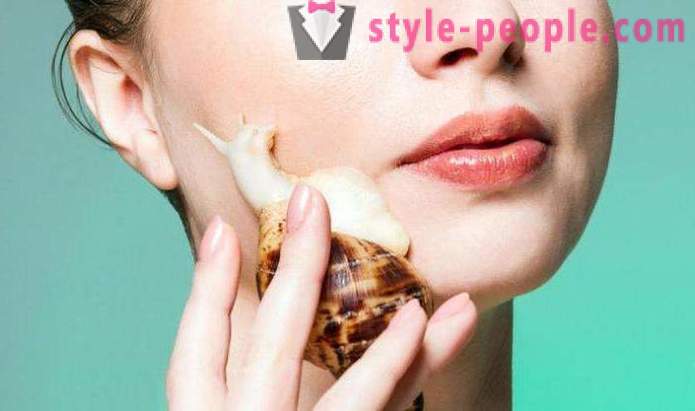 Snegle Achatina i kosmetologi: hvordan man bruger?
