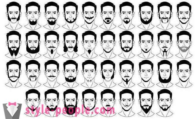 Mænds skæg stilfuld: typer, især pleje