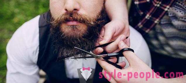 Mænds skæg stilfuld: typer, især pleje