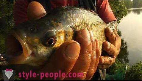 Fiskeri på Pakhra: fotos og anmeldelser. fiskepladser