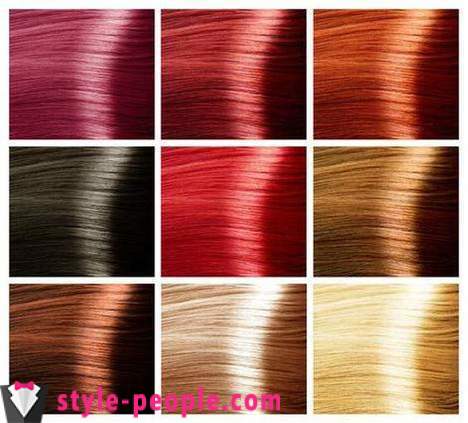 Paletten af ​​hår farver 