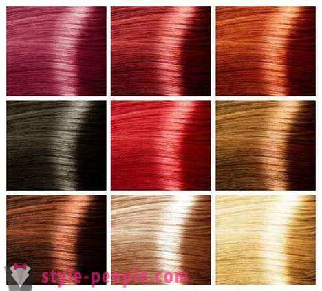 Paletten af ​​hår farver. Paletten af ​​maling farver til hår
