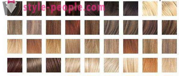 Paletten af ​​hår farver. Paletten af ​​maling farver til hår