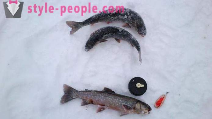 Fishers Bemærk: ørredfiskeri i vinteren