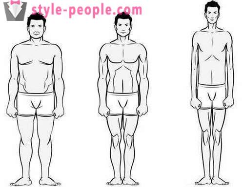 Sådan fastlægge de typer af figurer af mænd og kvinder