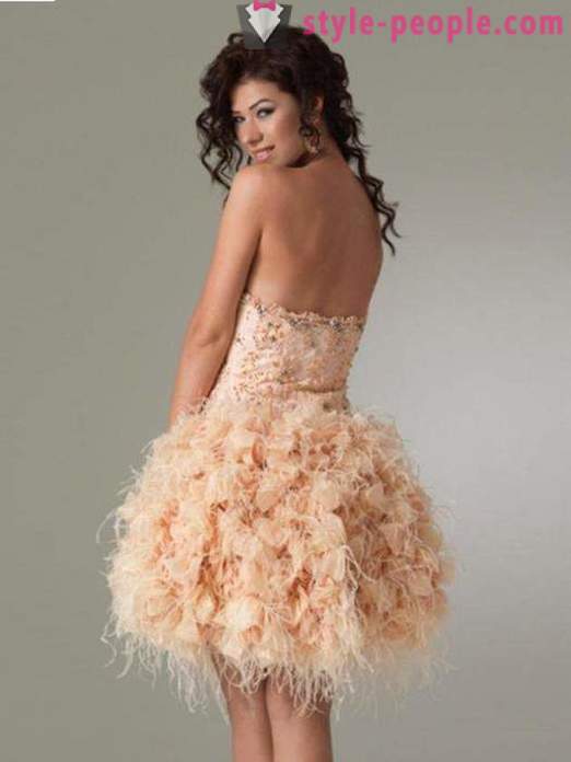 Kort kjole med en fluffy nederdel for unge fashionistas